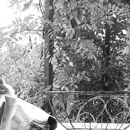 Casa de Campo Podere Pievina Delle Corti - Dimora Di Campagna