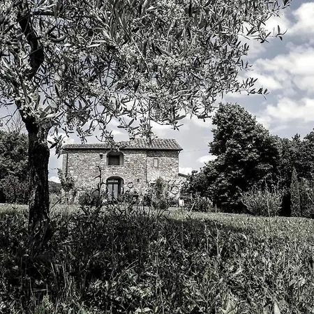 Country house Podere Pievina Sinalunga