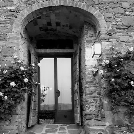Podere Pievina Sinalunga