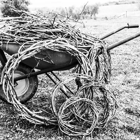 Country house Podere Pievina *