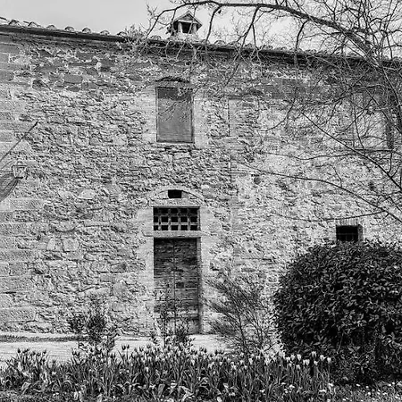 Podere Pievina * Sinalunga