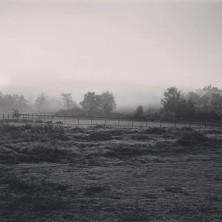 Podere Pievina *