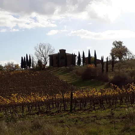 Country house Podere Pievina Sinalunga