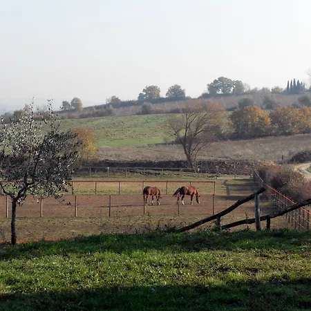Podere Pievina *