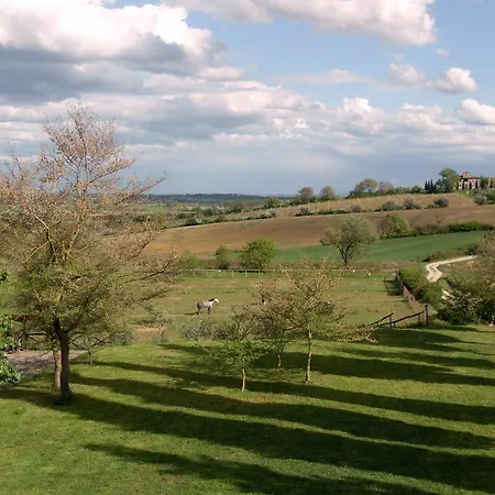 Podere Pievina Sinalunga