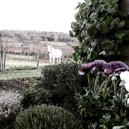 Podere Pievina Sinalunga