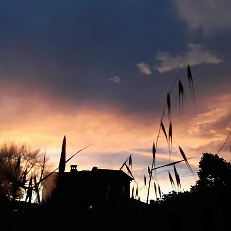 Podere Pievina Delle Corti - Dimora Di Campagna