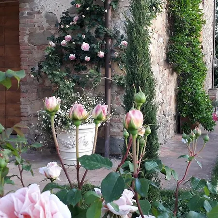 Podere Pievina Delle Corti - Dimora Di Campagna